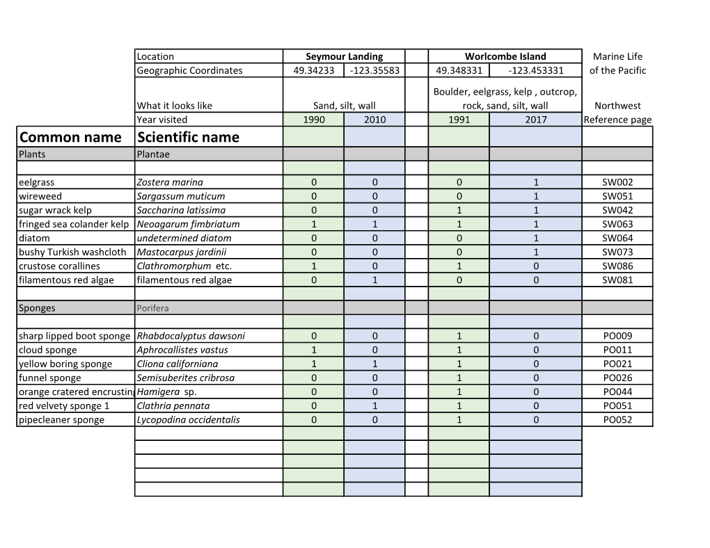 Dive Observations from Two Locations and Two Dive Sites