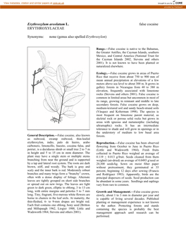 Erythroxylum Areolatum L. False Cocaine ERYTHROXYLACEAE