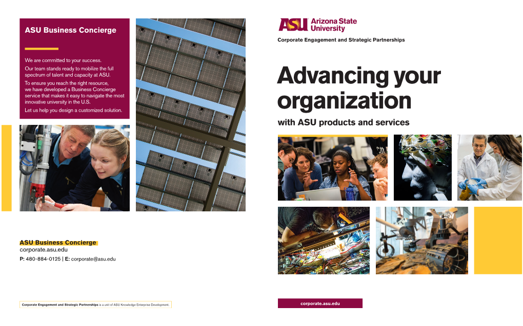 Advancing Your Organization