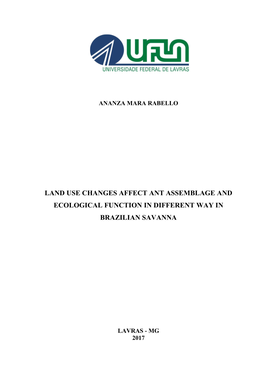 Land Use Changes Affect Ant Assemblage and Ecological Function in Different Way in Brazilian Savanna