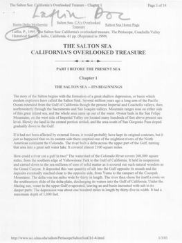 Salton Sea California's Overlooked Treasure