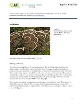 Mushrooms Topics in Biodiversity