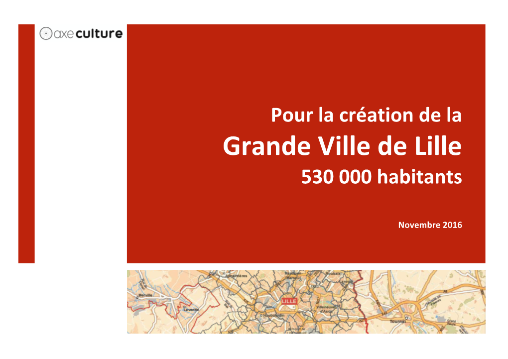 Grande Ville De Lille 530 000 Habitants