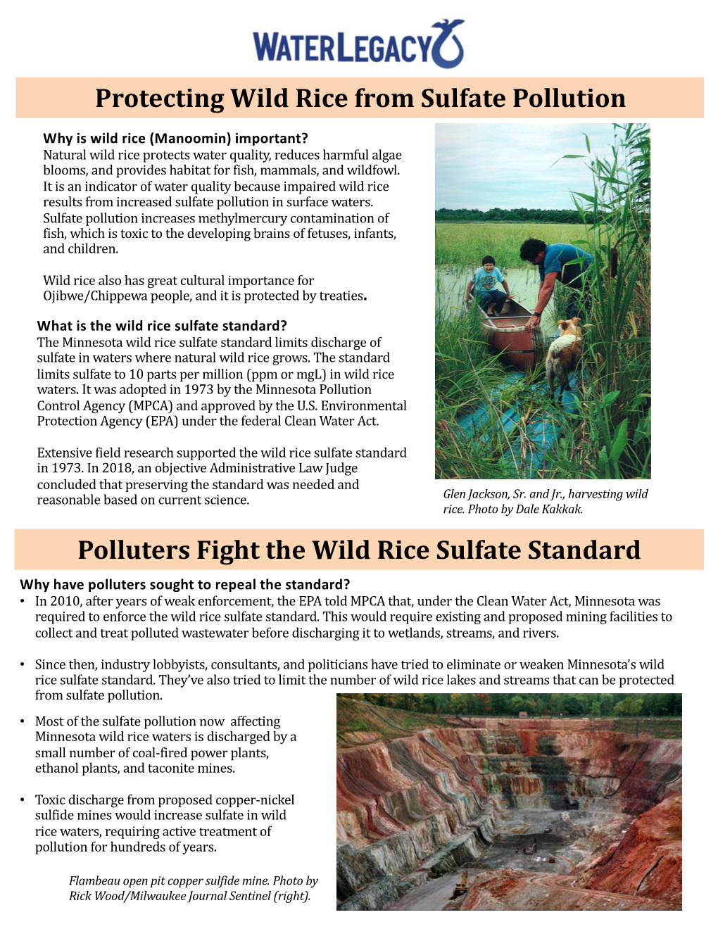 Protecting Wild Rice from Sulfate Pollution