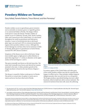Powdery Mildew on Tomato1 Gary Vallad, Pamela Roberts, Timur Momol, and Ken Pernezny2