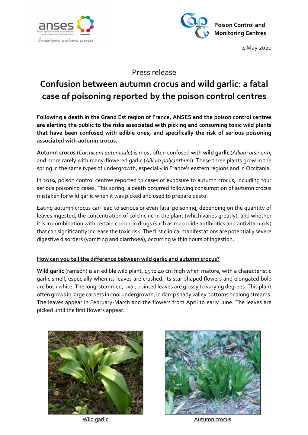 Confusion Between Autumn Crocus and Wild Garlic: a Fatal Case of Poisoning Reported by the Poison Control Centres