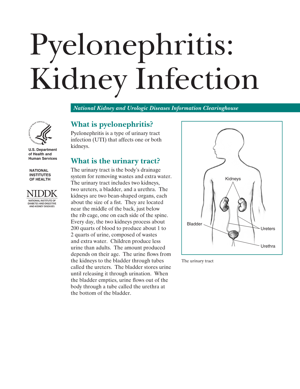 Pyelonephritis: Kidney Infection