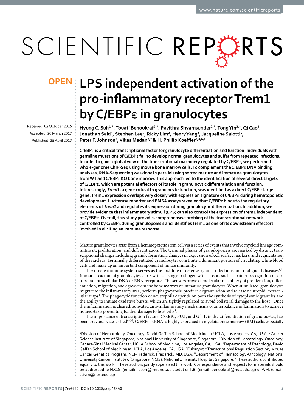 LPS Independent Activation of the Pro-Inflammatory Receptor Trem1 by C/Ebpε in Granulocytes Received: 02 October 2015 Hyung C