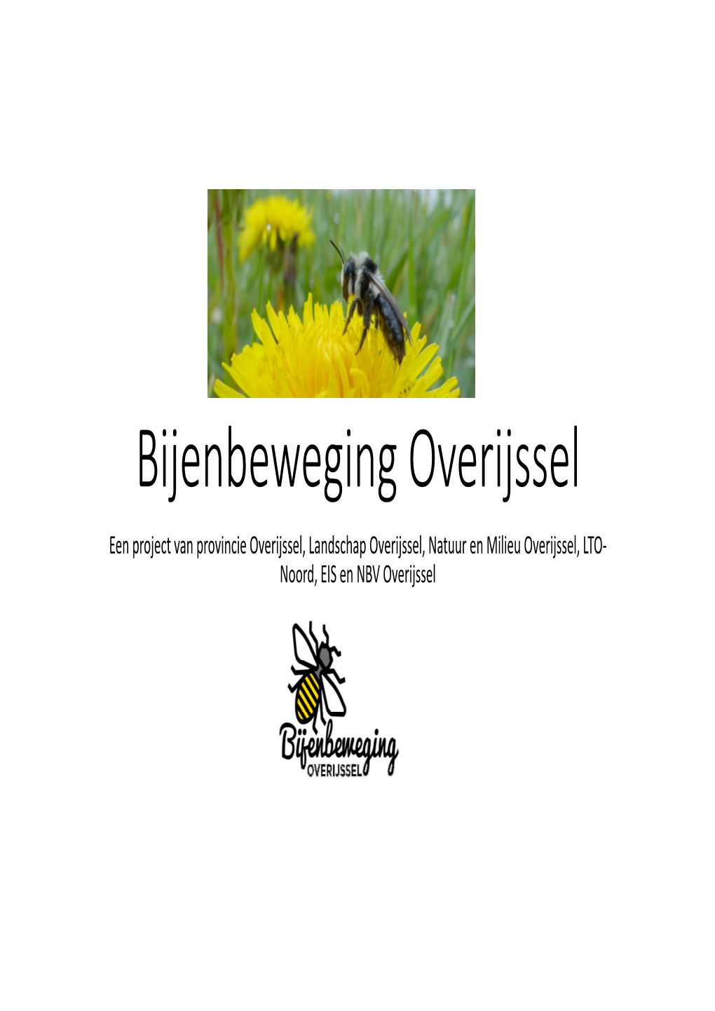 Bijenbeweging Overijssel