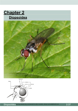 Chapter 2 Diopsoidea