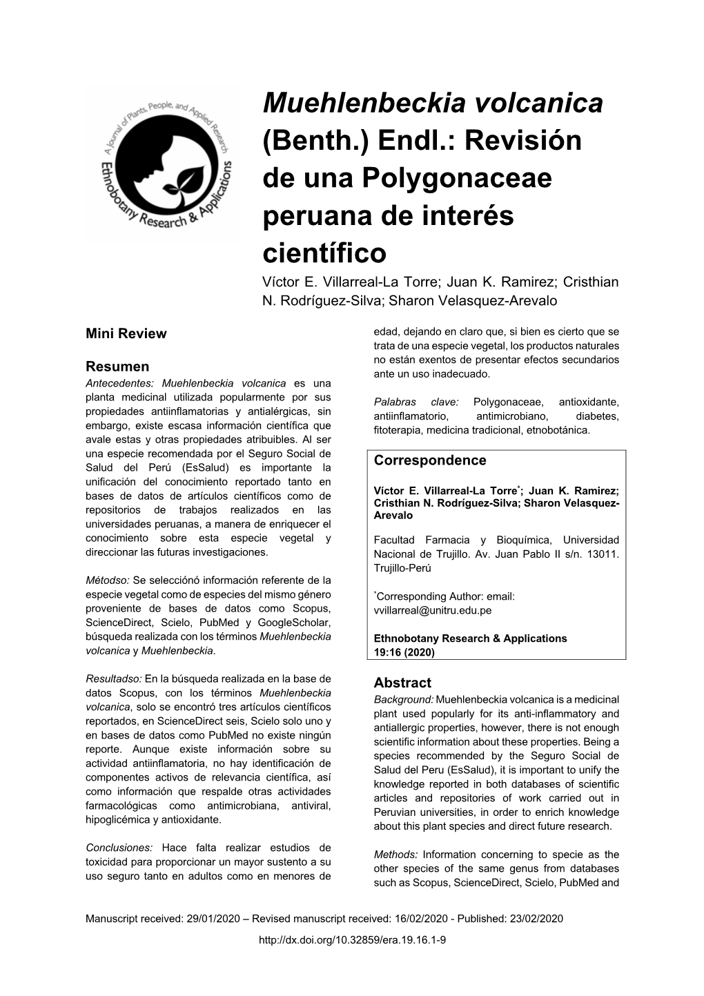 Muehlenbeckia Volcanica (Benth.) Endl.: Revisión De Una Polygonaceae Peruana De Interés
