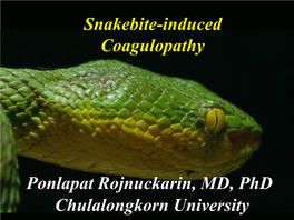 Moderate to Severe Cases of Green Pit Viper Bites In