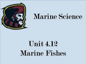 Unit 4.12 Marine Fishes Marine Science