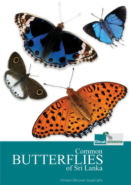 Common Butterflies of Sri Lanka.Pdf