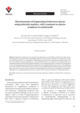 Microtaxonomy of Fragmenting Enchytraeus Species Using Molecular Markers, with a Comment on Species Complexes in Enchytraeids