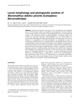 Larval Morphology and Phylogenetic Position of Micromalthus Debilis Leconte (Coleoptera: Micromalthidae)