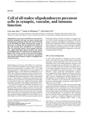 Cell of All Trades: Oligodendrocyte Precursor Cells in Synaptic, Vascular, and Immune Function
