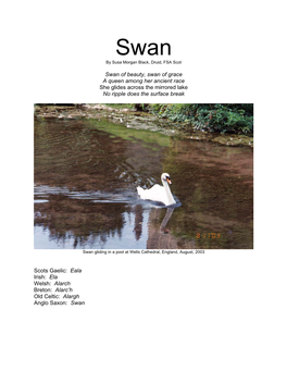 Swan Article