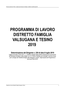 Programma Di Lavoro 2019 DF Valsugana E Tesino PUBBL