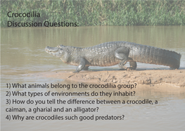Crocodilia Discussion Questions