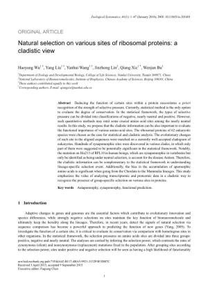 Natural Selection on Various Sites of Ribosomal Proteins: a Cladistic View