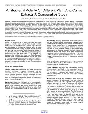 Antibacterial Activity of Different Plant and Callus Extracts a Comparative Study