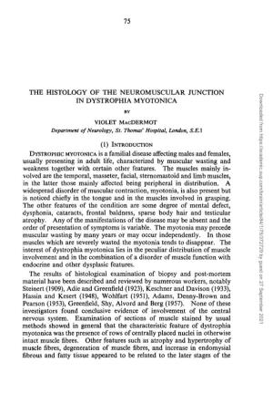 The Histology of the Neuromuscular Junction In