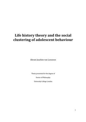 Life History Theory and the Social Clustering of Adolescent Behaviour
