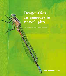 Dragonflies in Quarries & Gravel Pits