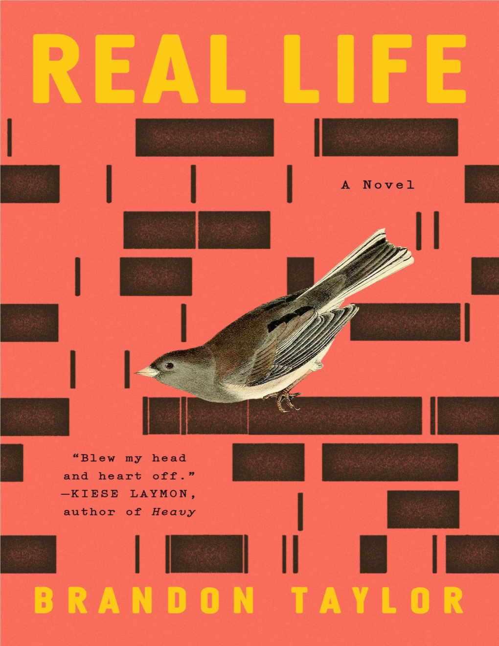 Real Life / Brandon Taylor