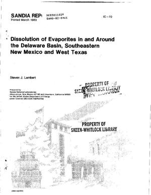 Dissolution of Evaporites in and Around the Delaware Basin, Southeastern New Mexico and West Texas