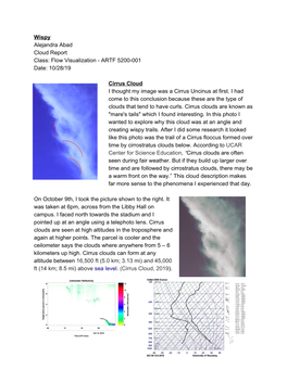 Wispy Alejandra Abad Cloud Report Class: Flow Visualization - ARTF 5200-001 ​ Date: 10/28/19