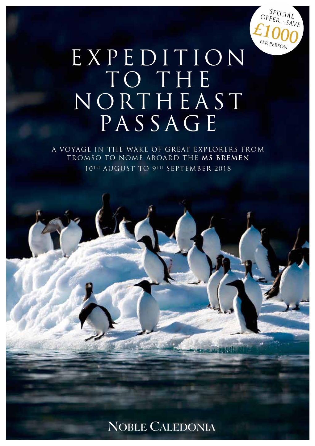 Expedition to the Northeast Passage