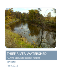 THIEF RIVER WATERSHED FLUVIAL GEOMORPHOLOGY REPORT MN DNR June 2015