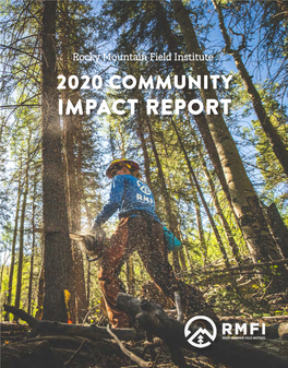 RMFI Annual Report 2020
