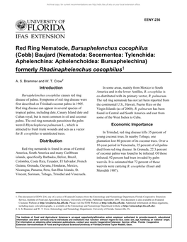 Red Ring Nematode, Bursaphelenchus Cocophilus (Cobb