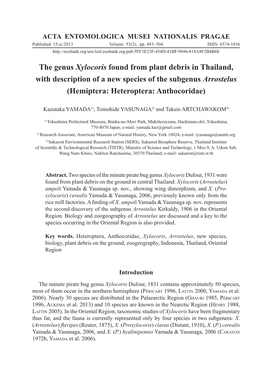The Genus Xylocoris Found from Plant Debris in Thailand, with Description of a New Species of the Subgenus Arrostelus (Hemiptera: Heteroptera: Anthocoridae)