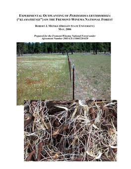 Experimental Outplanting of Perideridia Erythrorhiza (“Klamathense”) on the Fremont-Winema National Forest