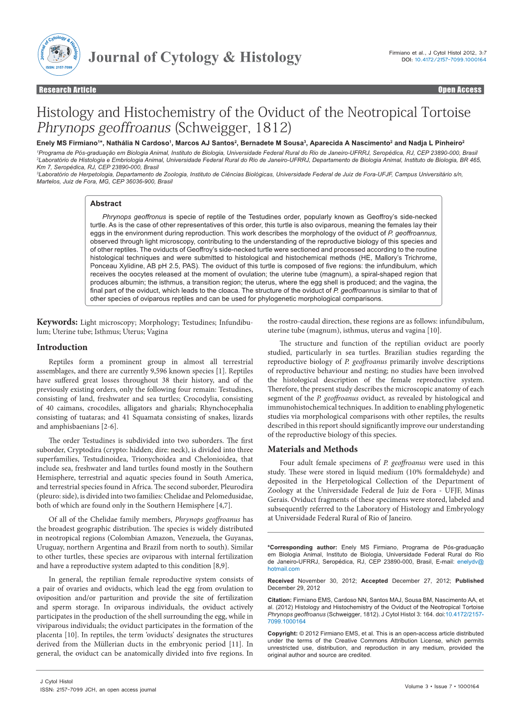 Histology and Histochemistry of the Oviduct of the Neotropical Tortoise