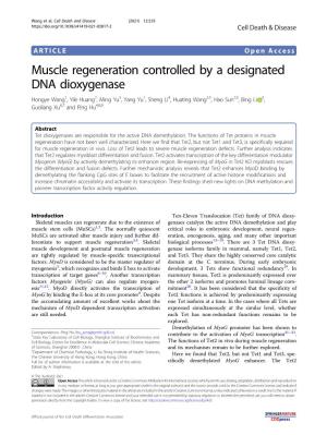 Muscle Regeneration Controlled by a Designated DNA Dioxygenase