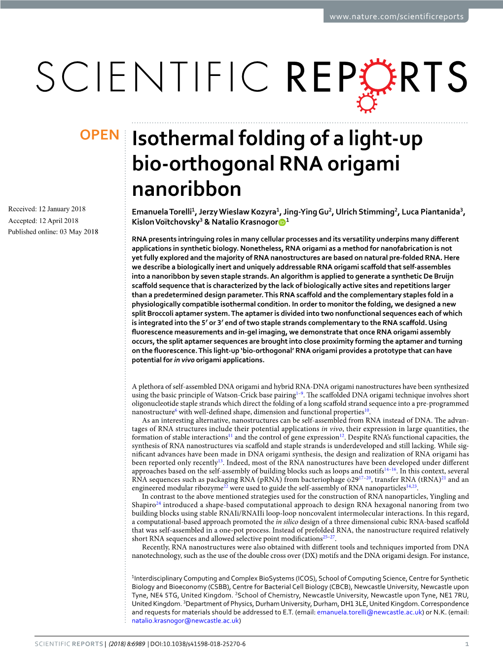 Isothermal Folding of a Light-Up Bio-Orthogonal RNA Origami