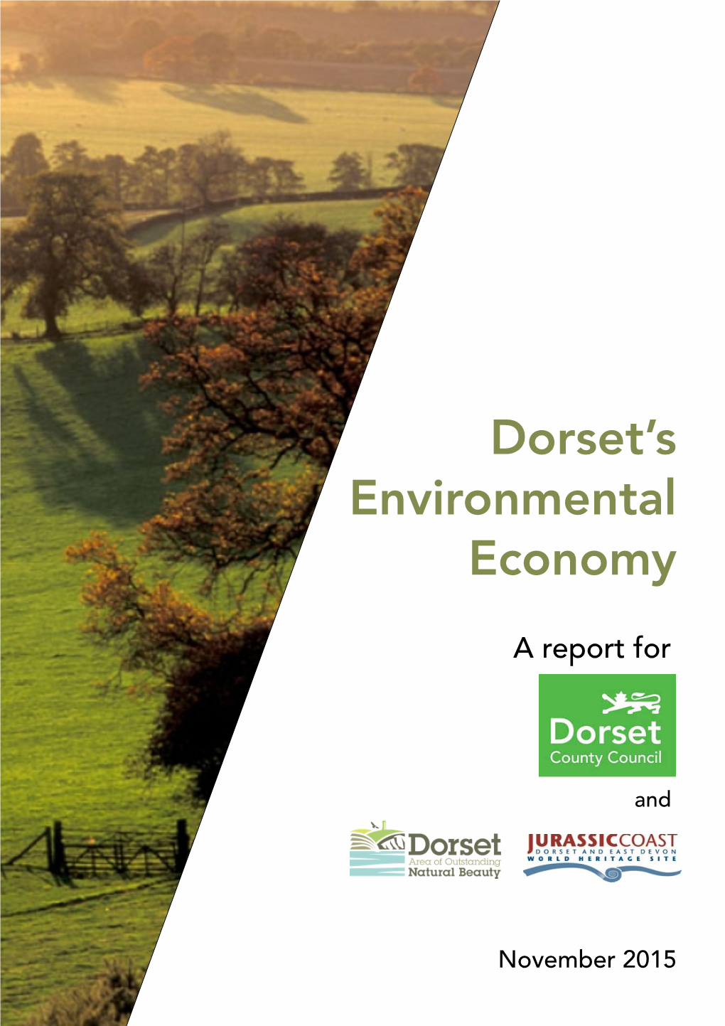 Dorset Environmental Economy