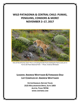 Wild Patagonia & Central Chile