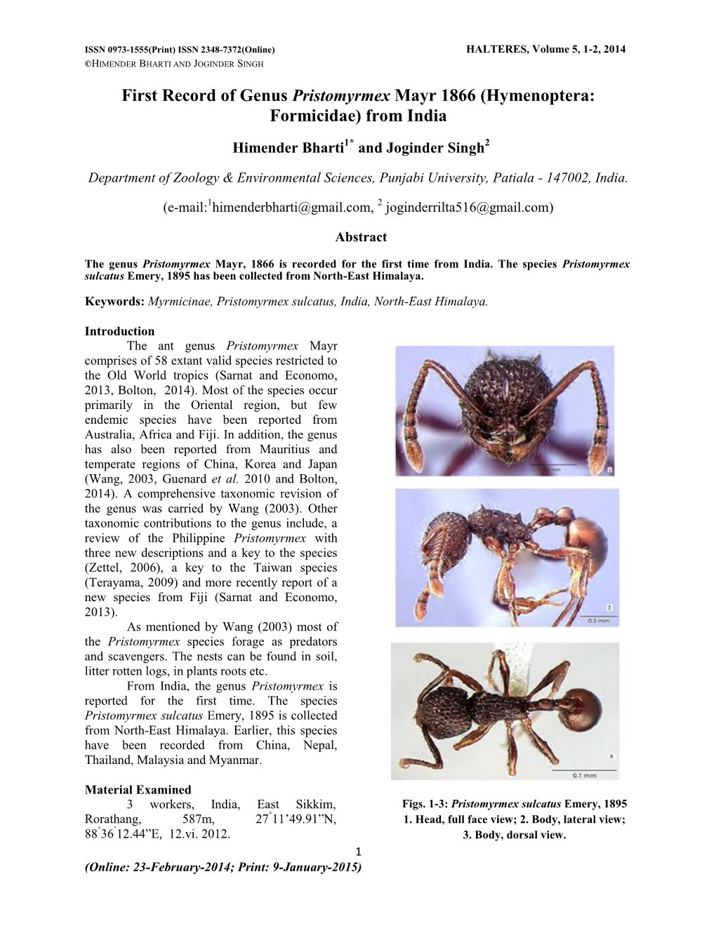 First Record of Genus Pristomyrmex Mayr 1866 (Hymenoptera: Formicidae) from India