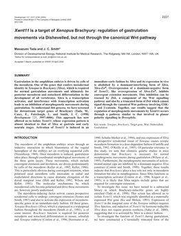 Xwnt11 Regulates Gastrulation Movements 2229