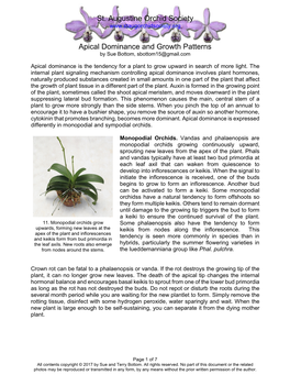 Apical Dominance and Growth Patterns by Sue Bottom, Sbottom15@Gmail.Com