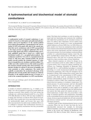 A Hydromechanical and Biochemical Model of Stomatal Conductance