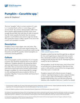 Pumpkin—Cucurbita Spp.1 James M