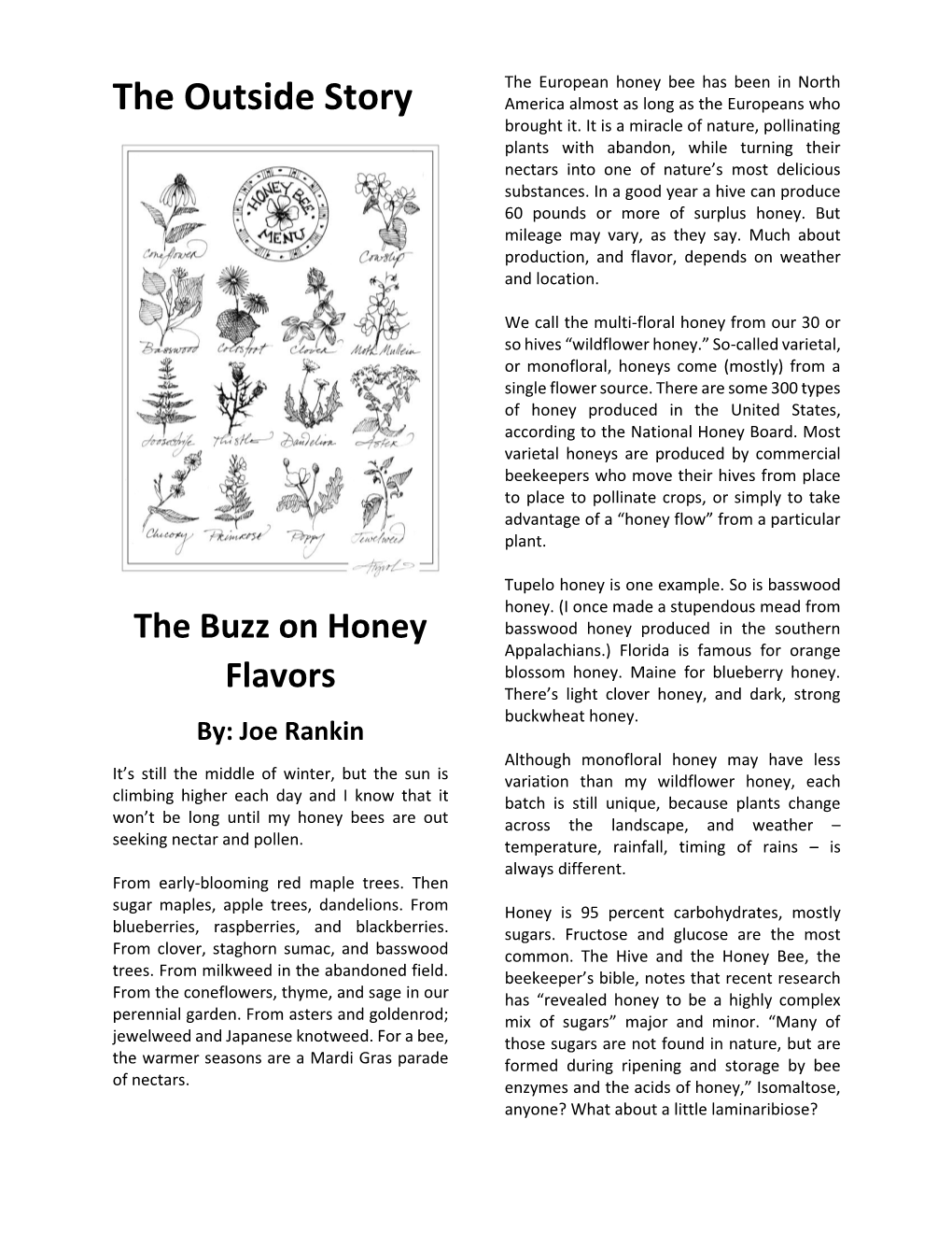 The Buzz on Honey Flavors