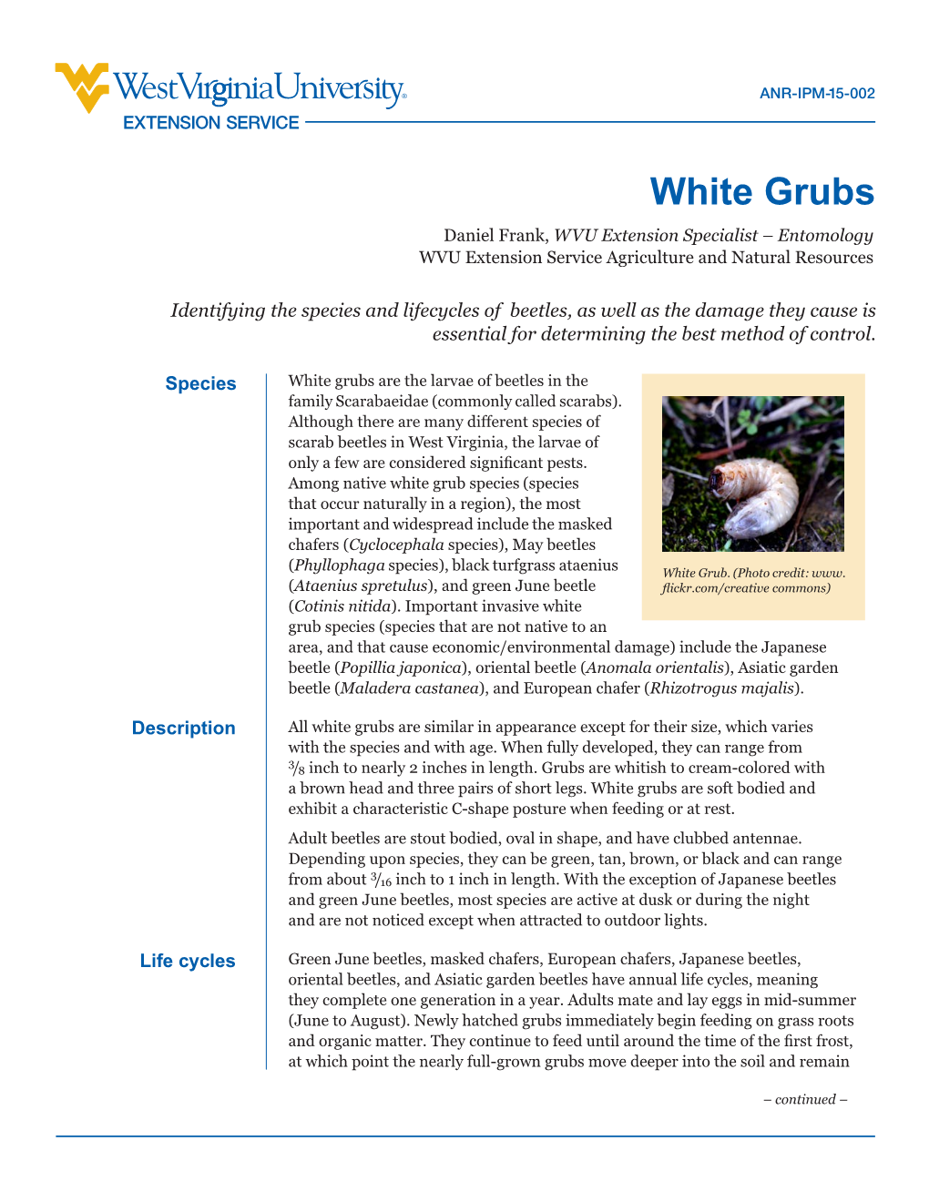 White Grubs Daniel Frank, WVU Extension Specialist – Entomology WVU Extension Service Agriculture and Natural Resources